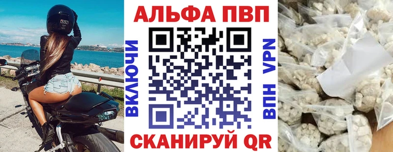 A PVP СК  Мурманск 
