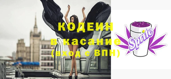 амф Верхний Тагил
