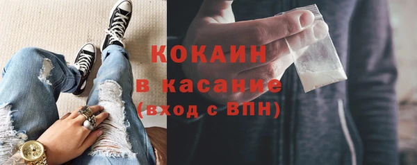 амф Верхний Тагил