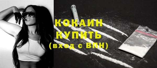 дживик Верея