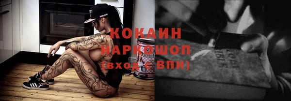 амф Верхний Тагил