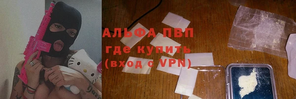 амф Верхний Тагил