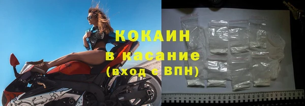 амф Верхний Тагил