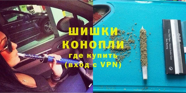 дживик Верея