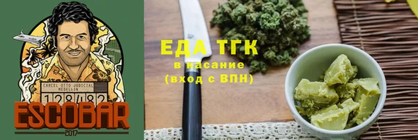 амф Верхний Тагил